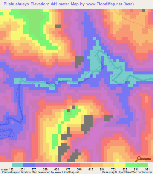 Pilahuehueyo,Mexico Elevation Map