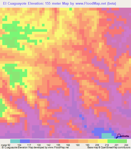 El Cuaguayote,Mexico Elevation Map