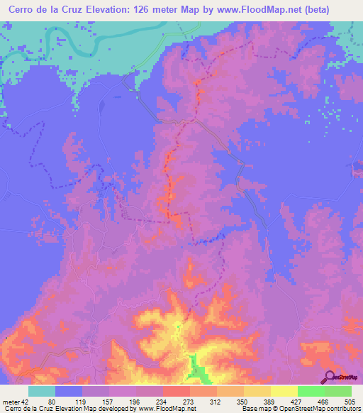 Cerro de la Cruz,Mexico Elevation Map