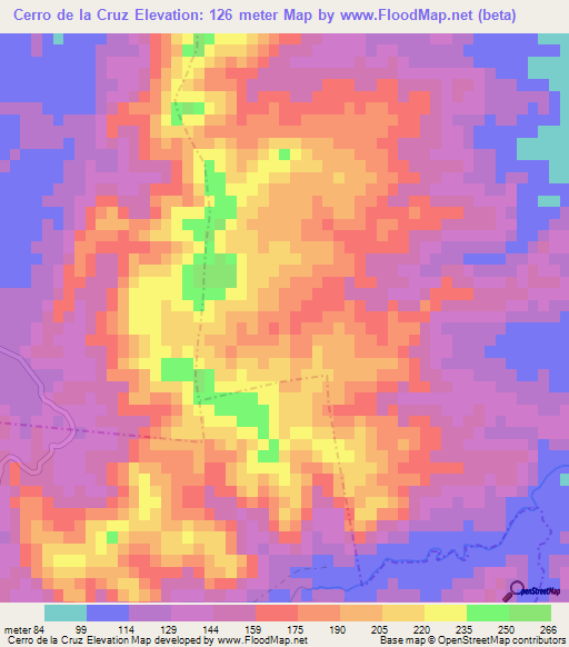 Cerro de la Cruz,Mexico Elevation Map