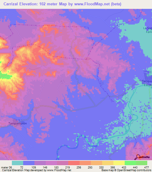 Carrizal,Mexico Elevation Map