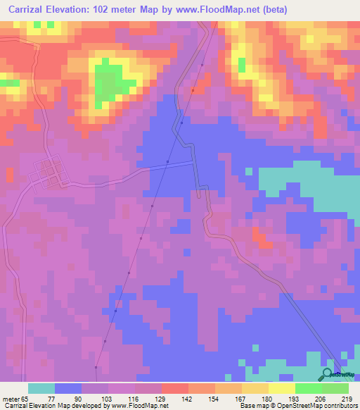 Carrizal,Mexico Elevation Map