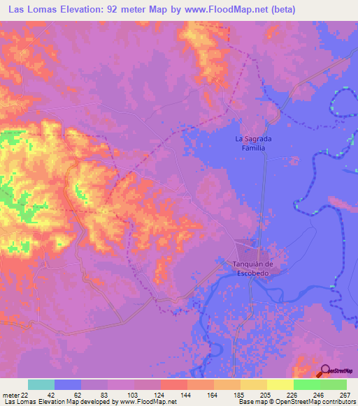 Las Lomas,Mexico Elevation Map