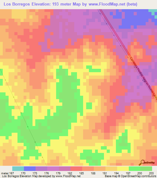 Los Borregos,Mexico Elevation Map