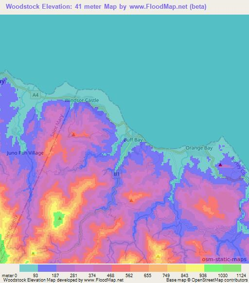 Woodstock,Jamaica Elevation Map