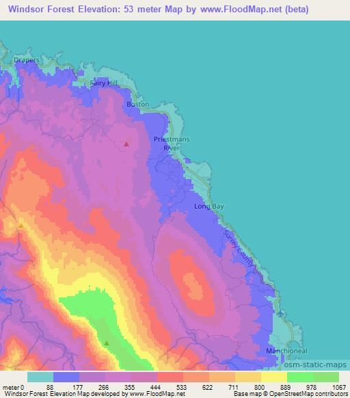 Windsor Forest,Jamaica Elevation Map