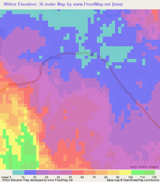 Wilton,Jamaica Elevation Map