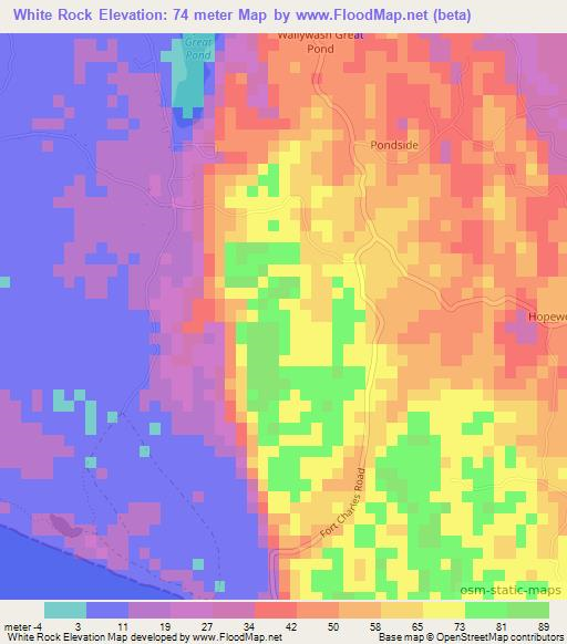 White Rock,Jamaica Elevation Map