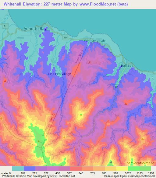 Whitehall,Jamaica Elevation Map