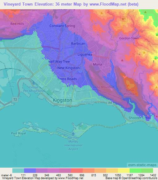 Vineyard Town,Jamaica Elevation Map