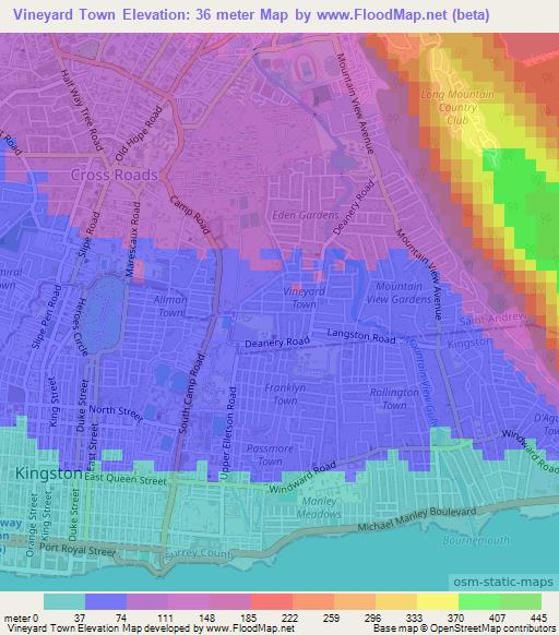 Vineyard Town,Jamaica Elevation Map