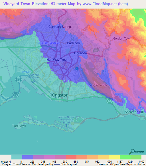 Vineyard Town,Jamaica Elevation Map