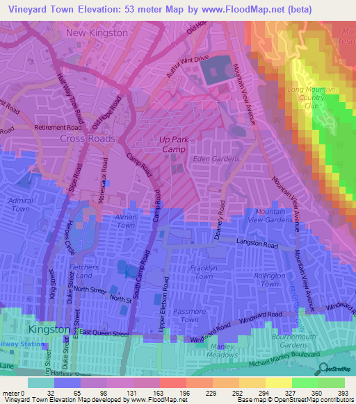 Vineyard Town,Jamaica Elevation Map