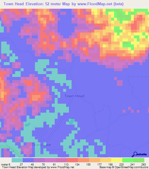 Town Head,Jamaica Elevation Map