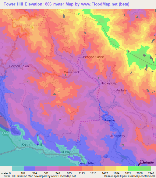 Tower Hill,Jamaica Elevation Map