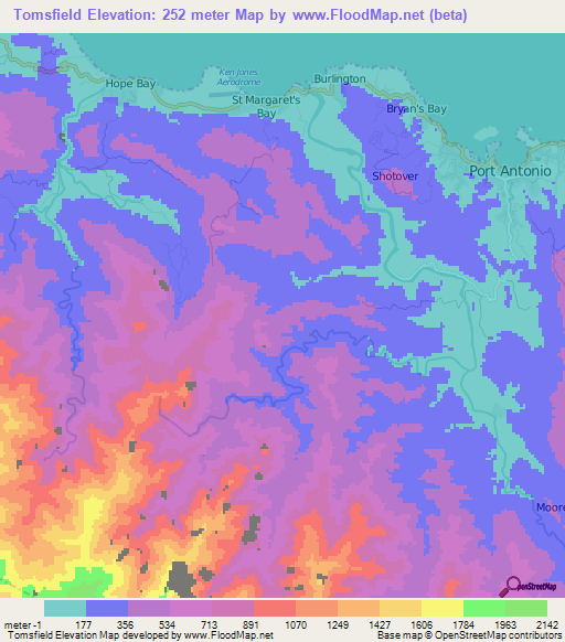 Tomsfield,Jamaica Elevation Map