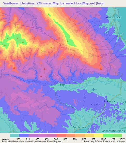 Sunflower,Jamaica Elevation Map