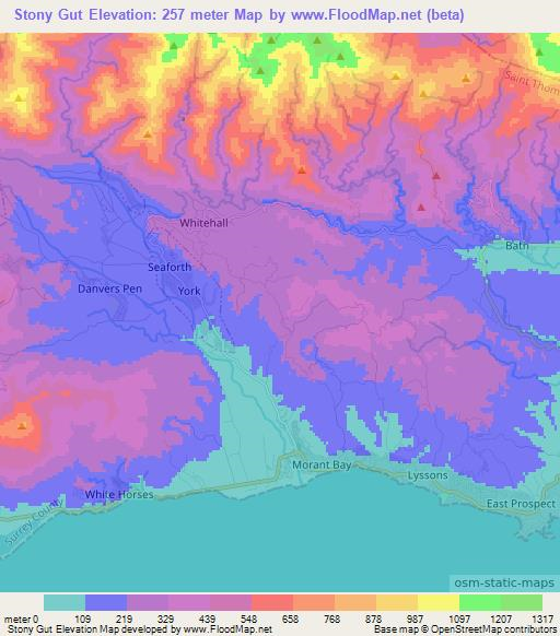 Stony Gut,Jamaica Elevation Map