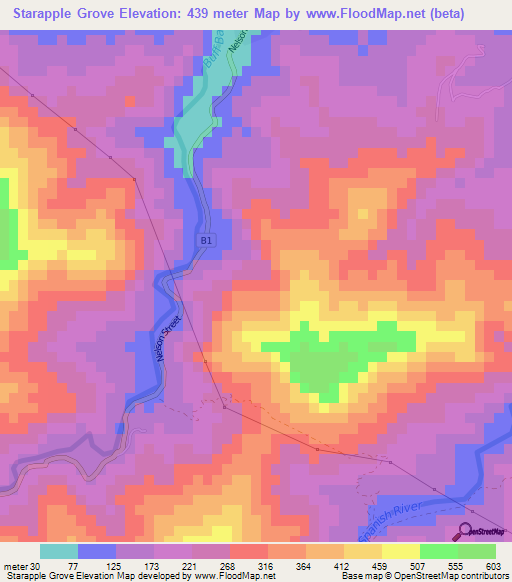 Starapple Grove,Jamaica Elevation Map