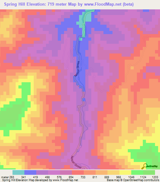 Spring Hill,Jamaica Elevation Map