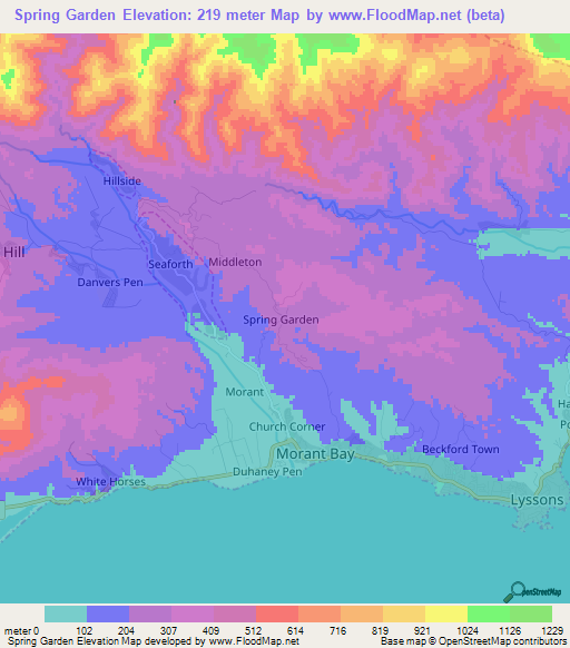 Spring Garden,Jamaica Elevation Map