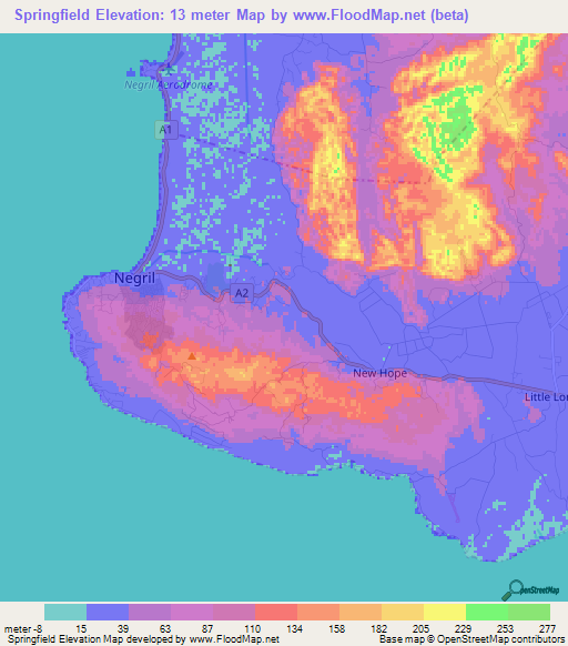 Springfield,Jamaica Elevation Map