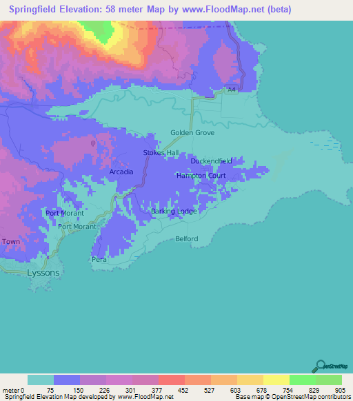 Springfield,Jamaica Elevation Map