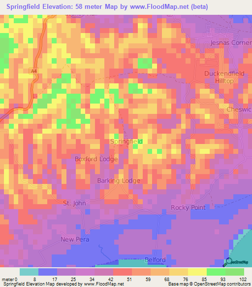 Springfield,Jamaica Elevation Map