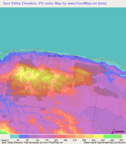 Spot Valley,Jamaica Elevation Map