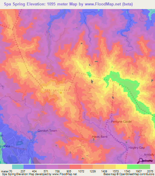 Spa Spring,Jamaica Elevation Map