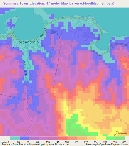 Sommers Town,Jamaica Elevation Map