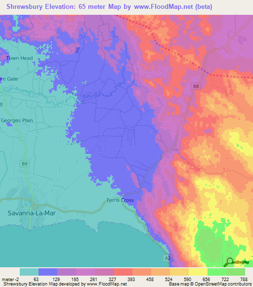 Shrewsbury,Jamaica Elevation Map