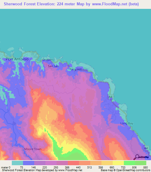 Sherwood Forest,Jamaica Elevation Map