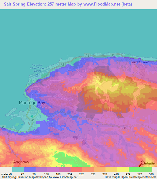 Salt Spring,Jamaica Elevation Map