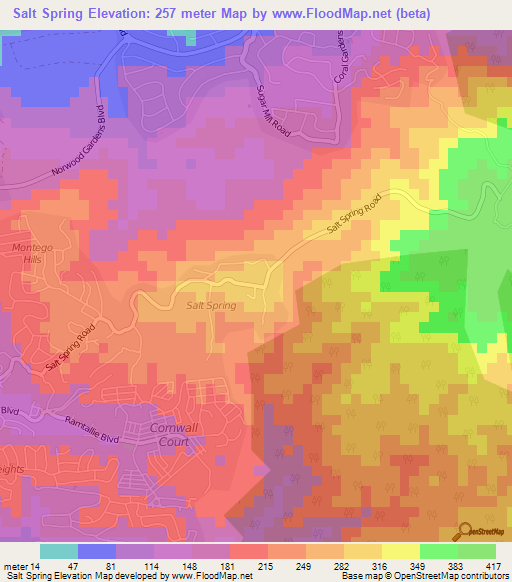 Salt Spring,Jamaica Elevation Map