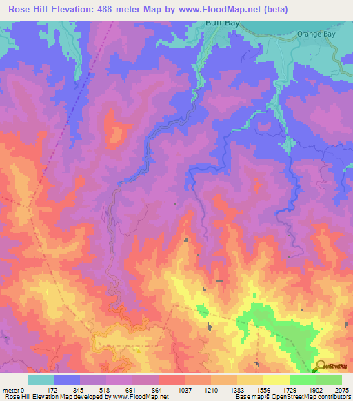 Rose Hill,Jamaica Elevation Map