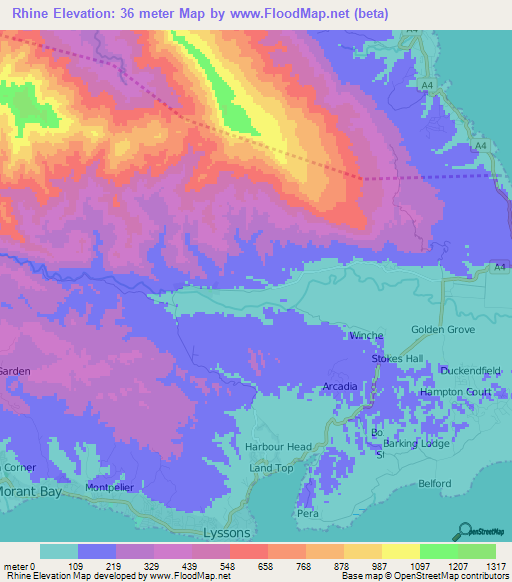 Rhine,Jamaica Elevation Map