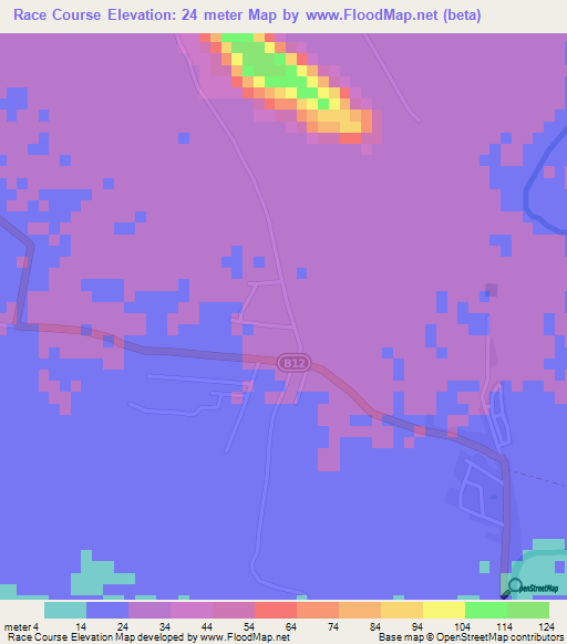 Race Course,Jamaica Elevation Map