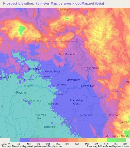 Prospect,Jamaica Elevation Map