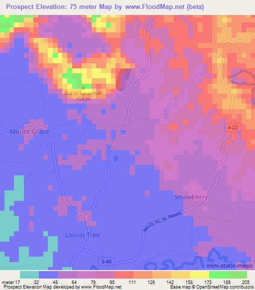 Prospect,Jamaica Elevation Map