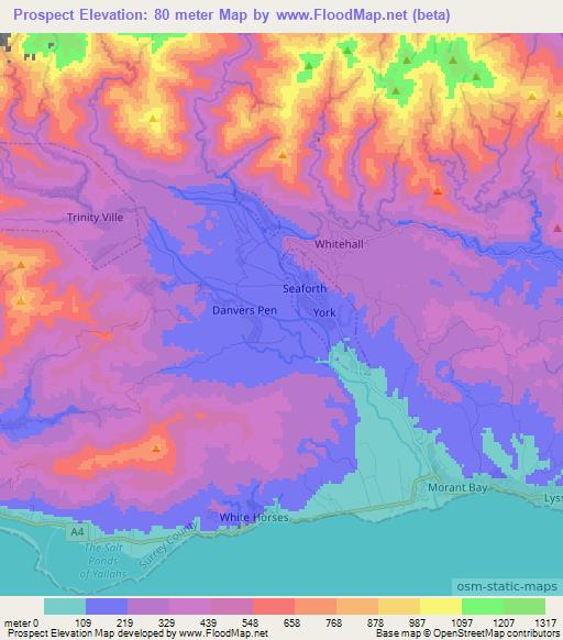 Prospect,Jamaica Elevation Map