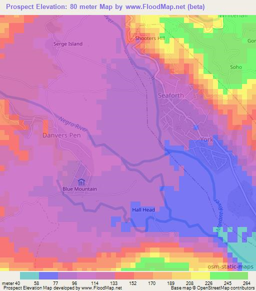 Prospect,Jamaica Elevation Map