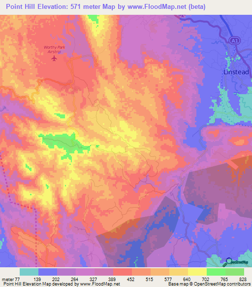 Point Hill,Jamaica Elevation Map