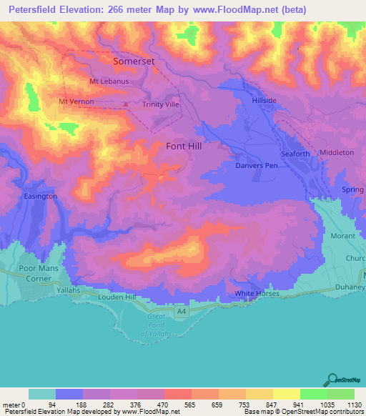 Petersfield,Jamaica Elevation Map