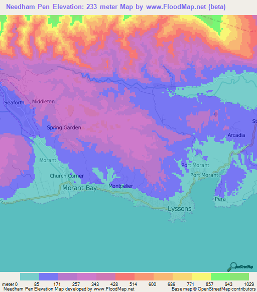 Needham Pen,Jamaica Elevation Map