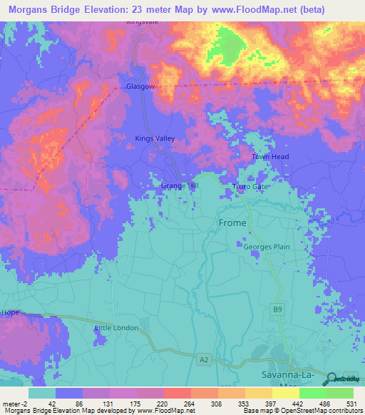 Morgans Bridge,Jamaica Elevation Map