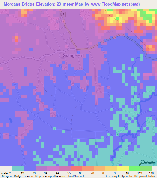 Morgans Bridge,Jamaica Elevation Map