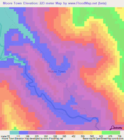 Moore Town,Jamaica Elevation Map