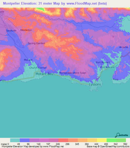 Montpelier,Jamaica Elevation Map