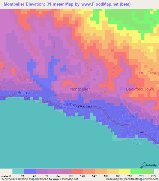 Montpelier,Jamaica Elevation Map